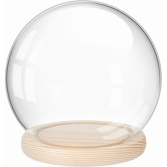 Glass Display Dome Cloche with Wood Base Decorative Clear Glass Cloche Bell Jar Decorative Showcase Display for Collectibles Candles Figurine Plants Flower 6 D X 15.7