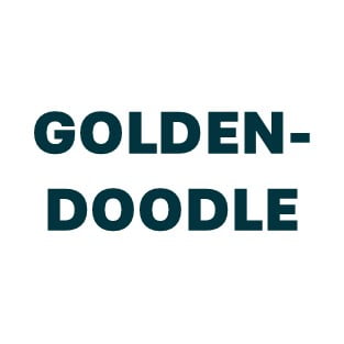 Goldendoodle Pill Butter