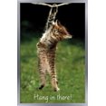 thumbnail image 1 of Famous Kitten Hang In There Poster Wall Poster, 22.375" x 34", 1 of 5