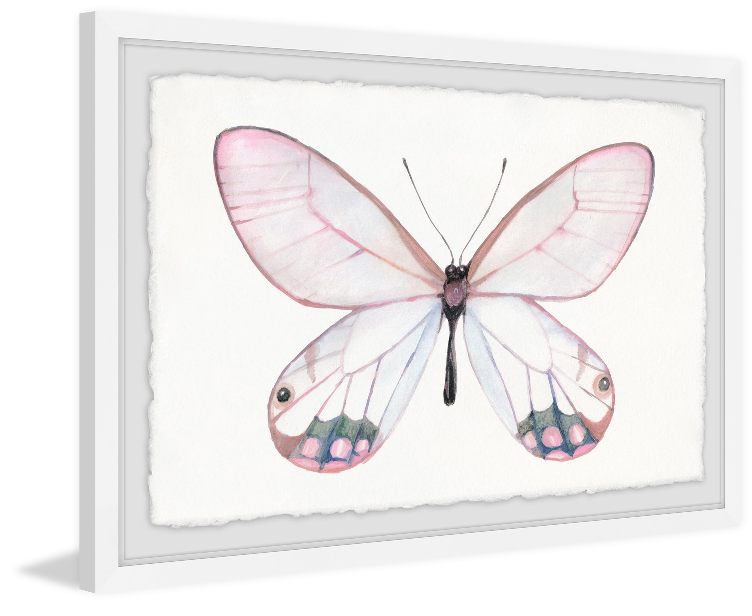 Pale Pink Butterfly Framed Painting Print