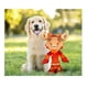thumbnail image 3 of Juguete para perros Mascota Mundial 2026 FIFA Mapple Canadá, 3 of 4