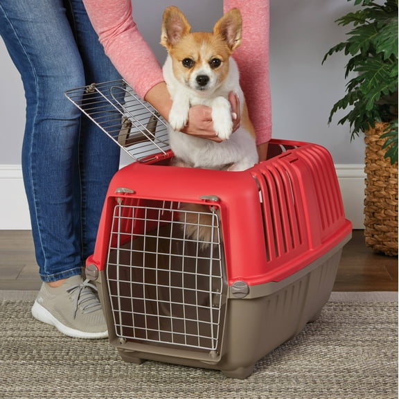 MidWest Homes for Pets 24 inch Top Door Spree Travel Pet Carrier for Dog/Cat with Steel Door, Red