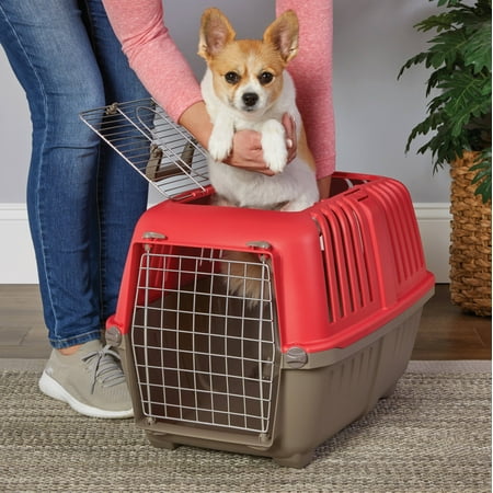 MidWest Homes for Pets 24 inch Two Door (Front and Top) Door Spree Travel Pet Carrier for Doga and Cats with Steel Door Red