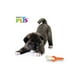 thumbnail image 2 of Juguete para Perro FANCY PETS Hueso Alita Entrelazado 1 PIEZA, 2 of 2