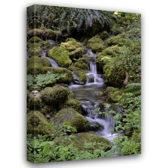 Brian Moore 13x18 Gallery Wrapped Canvas Wall Art Titled - Japanese Gardens II