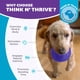thumbnail image 3 of Juguete Interactivo Planet Dog Orbee-Tuff Lil' Snoop Morado dispensador de golosinas para Perro Pequ, 3 of 8