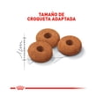 thumbnail image 2 of Alimento para Gatos ROYAL CANIN SPAYED NEUTERED APP CTRL 2.7 KG, 2 of 3