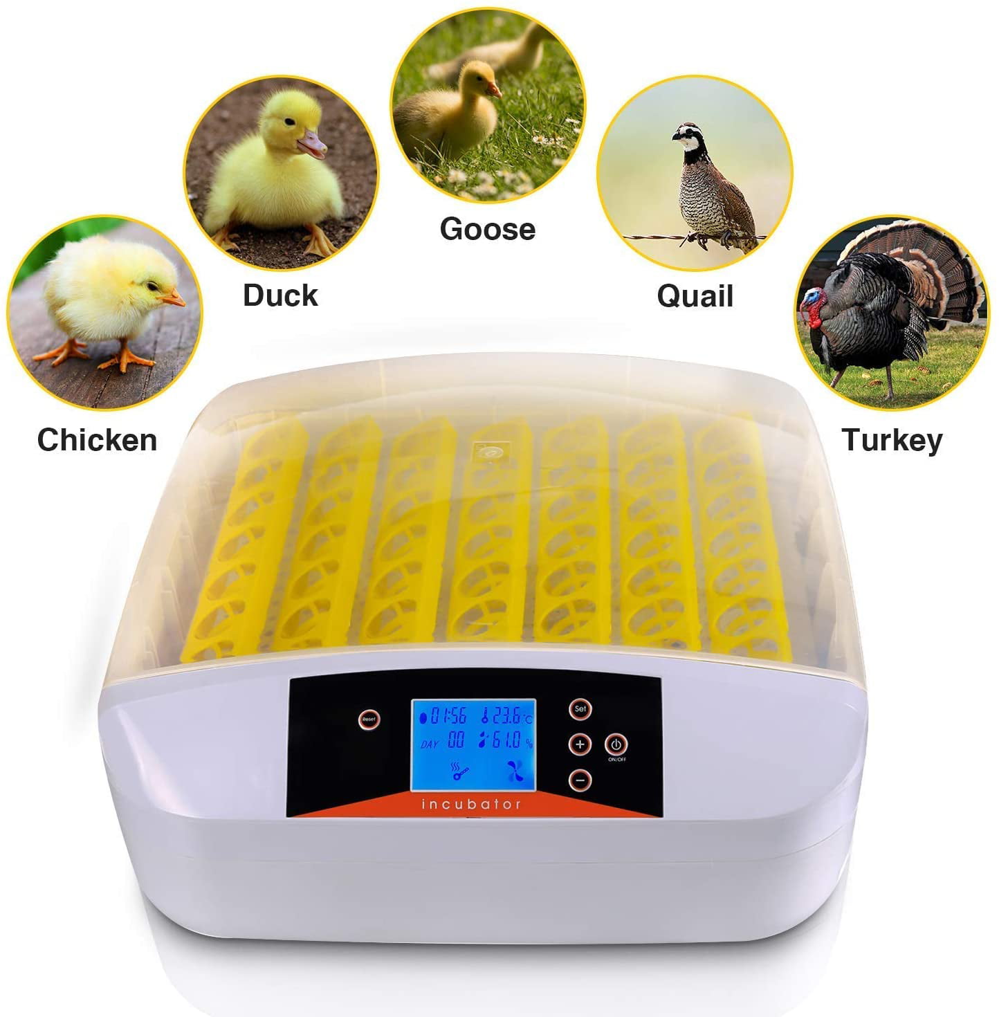 Digital 56 Egg Incubator Clear Hatcher w/ Automatic Turner Poultry Chicken Bird 