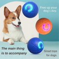 thumbnail image 2 of Shaky Ball Toy For Dogsshaking Dog Ball vibrating Ball For Dogs, 2 of 4