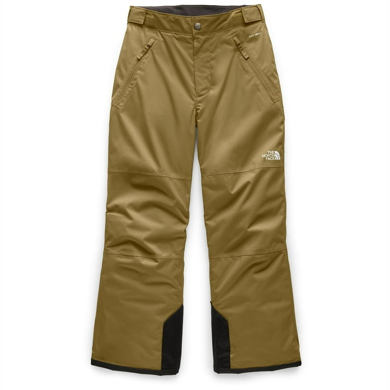 The North Face Boys' Freedom Insulated Pant 