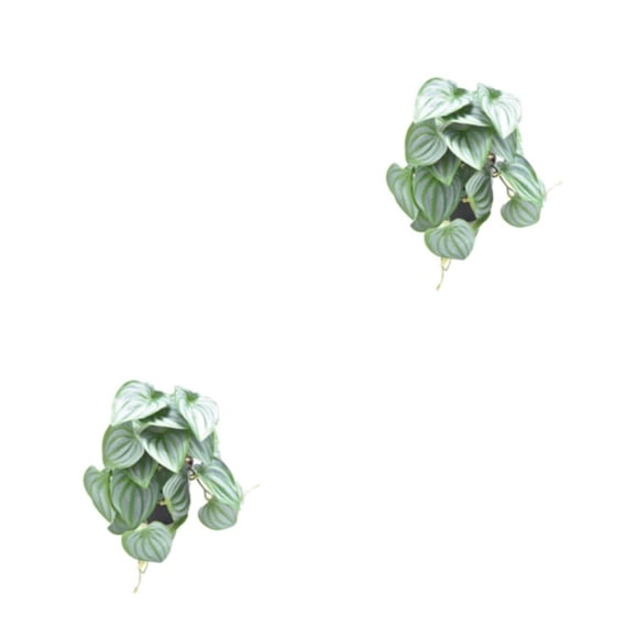 Toystoory Plantas De Terrario Tropical De Plástico - Frescura Y Elegancia Para El Hogar Sin Plantas Marchitas Artificiales Type1 NO1