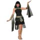 Morris Costumes FM77076 Cleopatra Fantaisie Costume Adulte – image 1 sur 1