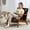 Brown, variant on CHYtoo Modern Accent Chair with Wood Frame,Upholstered Armchair with Lumbar Pillow,Mid-Century Lounge Chair for Living Room, Bedroom, Balcony