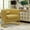 Yellow, variant on Andeworld Modern Upholstered Barrel Accent Chair with Metal Legs and Anti-Scratch Design, Wide Arm Chair for Living Room Bedroom, Yellow