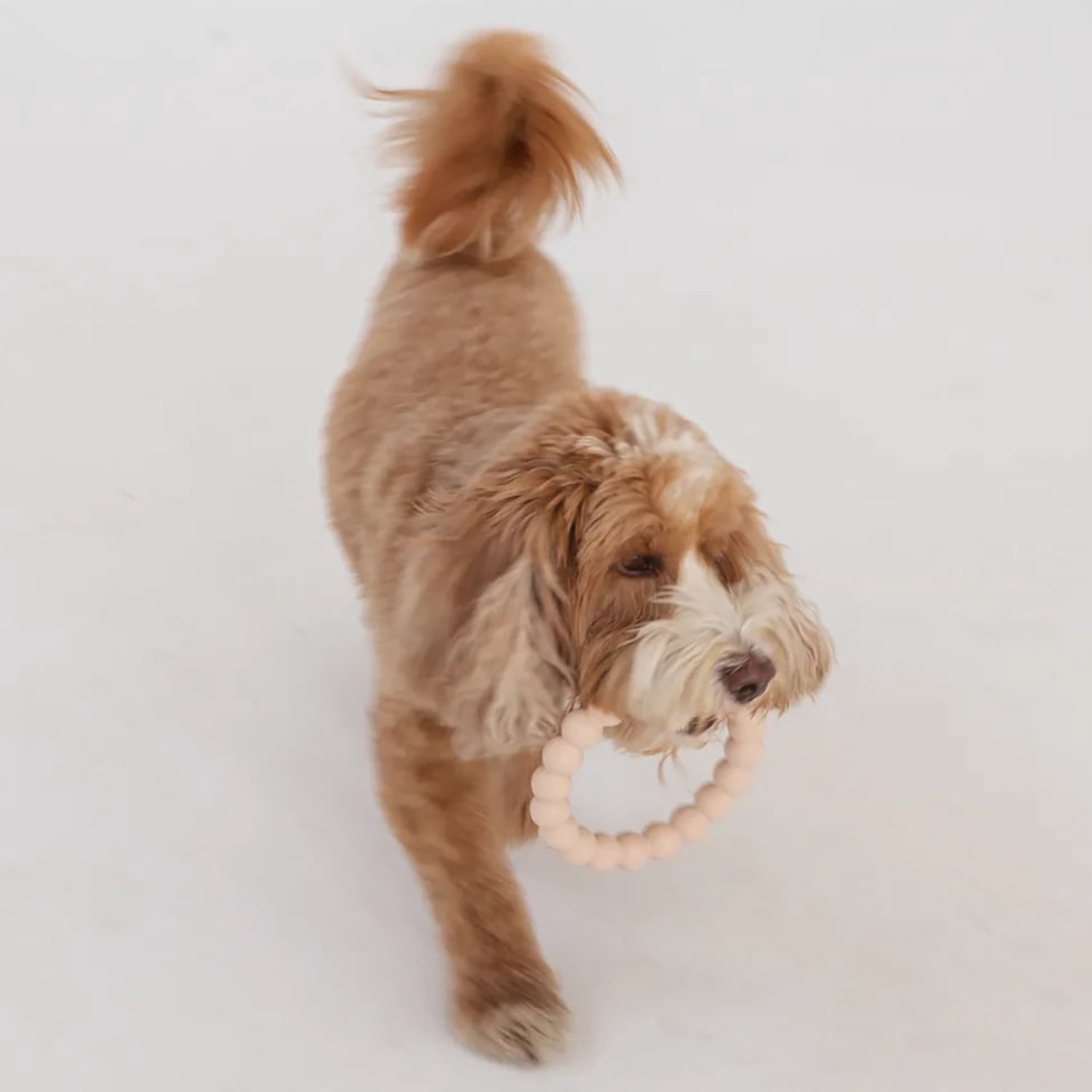 Dexypaws: Super Chew Rings - Beige & Black - 2pc Dog Teething Toys, Aggressive Chewers, Fetch & Tug, Textured Circles, Durable Rubber, Pet Play