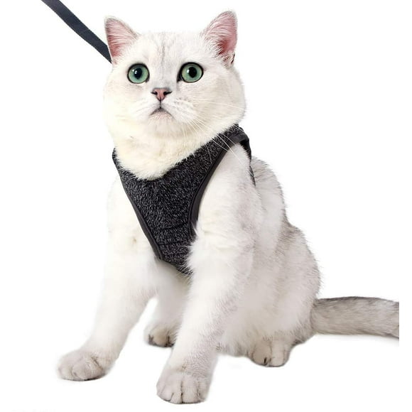 Harnais pour Chat - Ensemble de Harnais et Laisse Chat Ultra-Léger Harnais Chaton Réglable Anti-Fuite pour Chiot Lapin Furet gris m