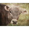 thumbnail image 2 of Murdock, Ramona 24x20 Gold Ornate Wood Framed with Double Matting Museum Art Print Titled - Bossie, 2 of 4