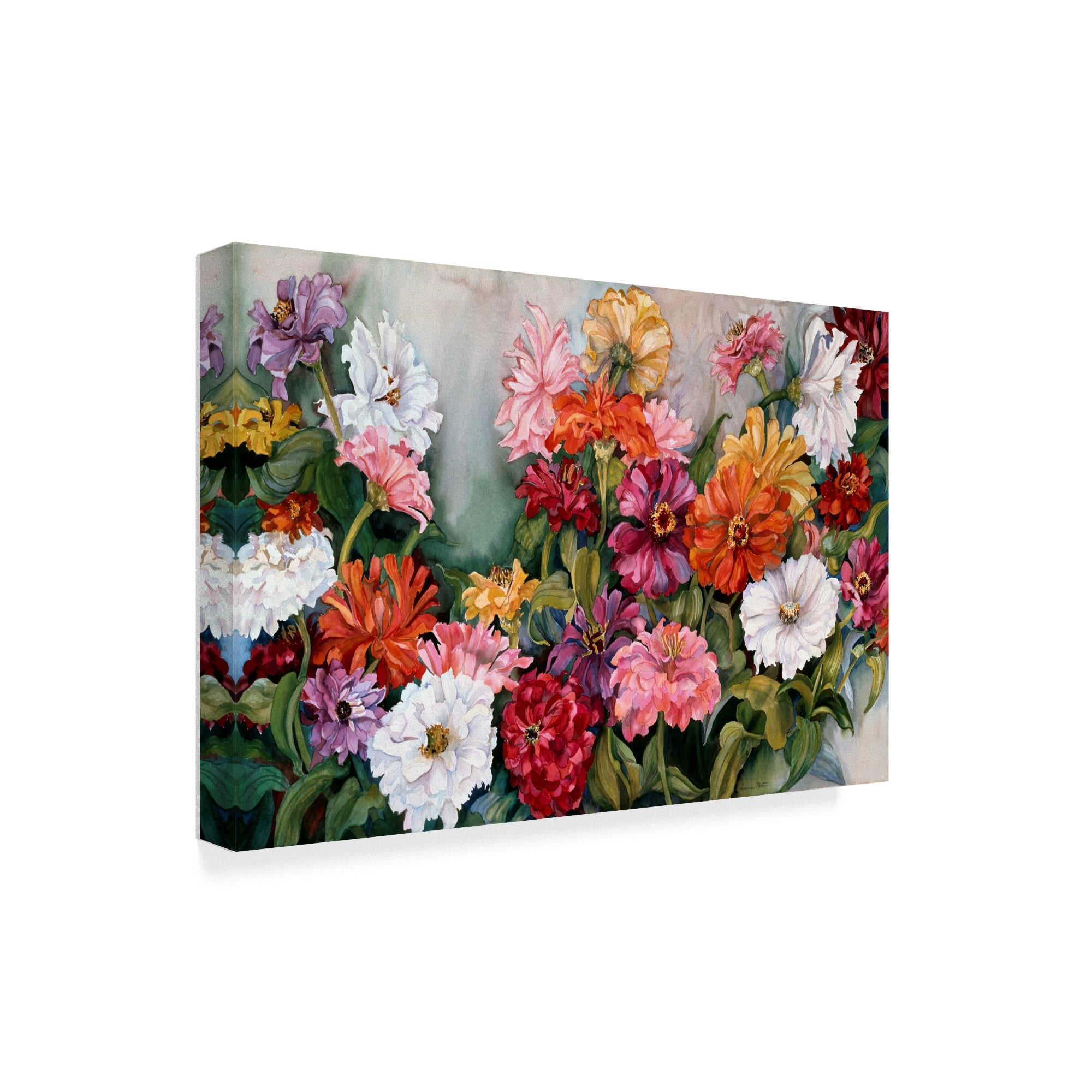 Trademark Fine Art 'Zinnias' Canvas Art by Joanne Porter