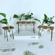 thumbnail image 1 of Maceta para plantas hidropónicas, creativa, pequeña, de vidrio, con banco, florero, artesanías de vidrio y madera frescas, 1 of 5