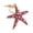 D, variant on Beach Keychain Summer Bag Charm Starfish Keychain Cute Sea Star Accessories Nautical Summer Outfits Gift Rhinestone Plating Women Car/Bag Keychain Purse Charm