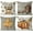 18"x18", variant on Fall Pillow Covers 18x18 Inch Set of 4 Fall Football Pumpkin Maple Leaf Throw Pillowcase Holiday Home Decor Sofa Bedroom Cushion Case Outdoor Indoor Decorations
