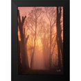 thumbnail image 2 of Podt, Martin 13x18 Black Modern Framed Museum Art Print Titled - Mysterious Mood, 2 of 5