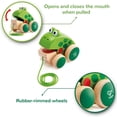 thumbnail image 2 of Hape: Pull Along Frog - Wooden Green Toy W/ Open & Close Mouth, Rubber Rimmed Wheels, Push & Pull Play, String Take Along, Baby, Toddler & Kids Age 1+, 2 of 5