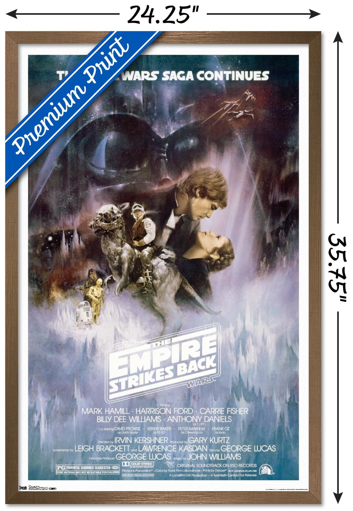 Star Wars: The Empire Strikes Back - The Saga Continues One Sheet Wall Poster, 22.375" x 34", Framed
