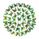 thumbnail image 1 of 200 pegatinas de pared de mariposas, calcomanías de pared de mariposas, mariposa rústica práctica Verde, 1 of 9