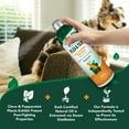 thumbnail image 5 of Vet's Best Flea and Tick Easy Spray for Dogs - 14oz., 5 of 8
