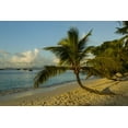 thumbnail image 2 of Illg, Cathy and Gordon 18x13 Black Ornate Wood Framed with Double Matting Museum Art Print Titled - Caribbean, USA Virgin Islands Beach scenic, 2 of 4