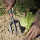 thumbnail image 4 of Horca de tres dientes de acero templado para horticultura, herramientas para plantar flores en el hogar, cultivo de hortalizas y flores, arreglos florales en macetas, horquilla de metal con, 4 of 6