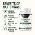thumbnail image 5 of Probase Nutrition Nattokinase Supplement 4,000 FU Servings, 120 Capsules (Derived from Japanese Natto) Systemic Enzymes for Cardiovascular and Circulatory Support, 5 of 7