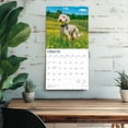 thumbnail image 5 of Goldendoodles | 2026 12x24" (Hanging) Square Wall Calendar | Plastic-Free, 5 of 9