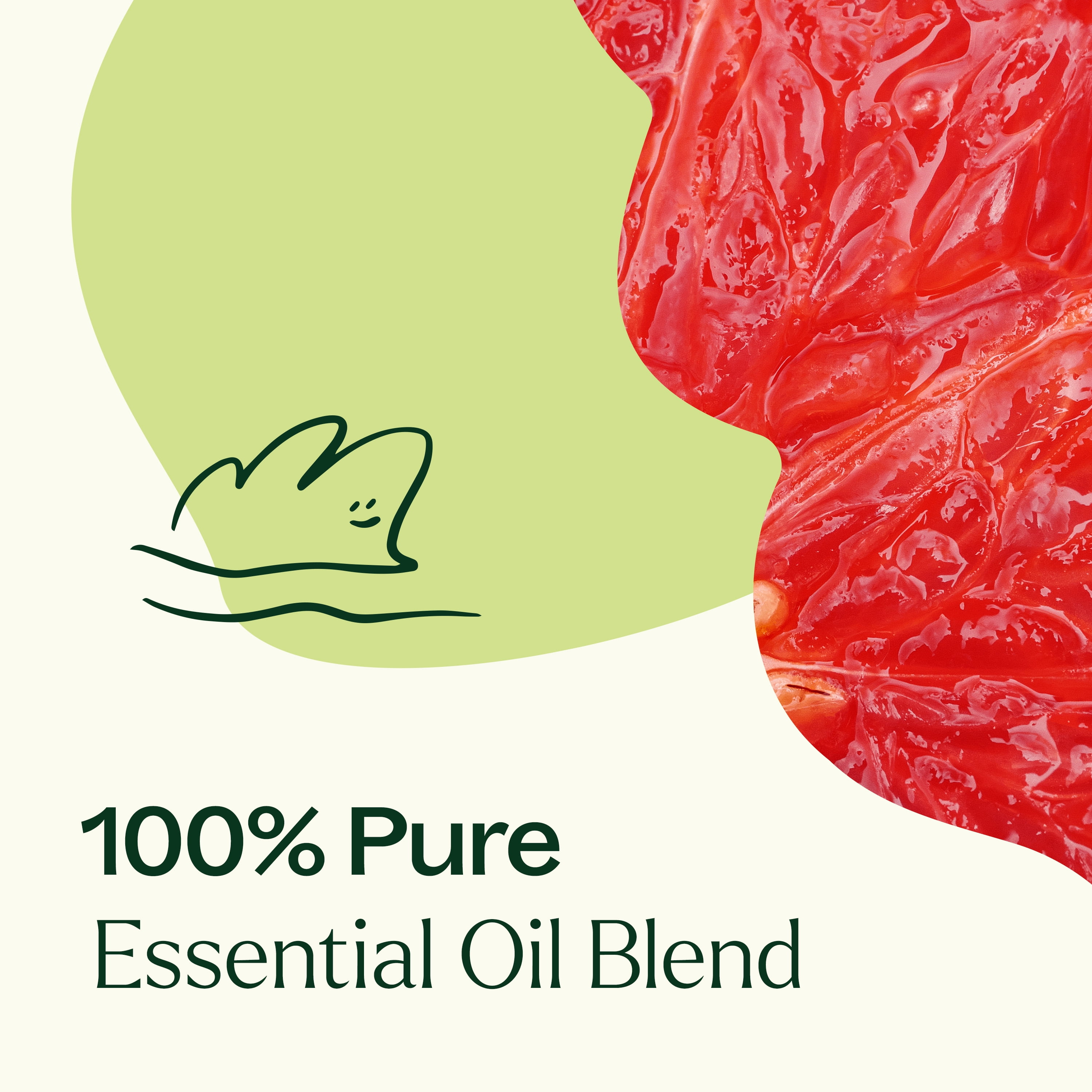 Plant Therapy Brain Aid Essential Oil Blend for Focus & Attention 100% Pure, Undiluted, Natural Aromatherapy 30 mL (1 oz)
