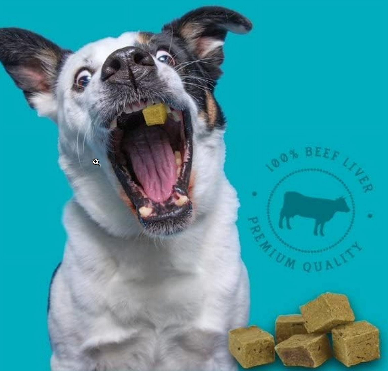 Stewart Beef Liver Freeze Dried Dog Training Treats [USA Dog Treats, New Dog Supplies, Stewart, Dog Supplies] 8 oz