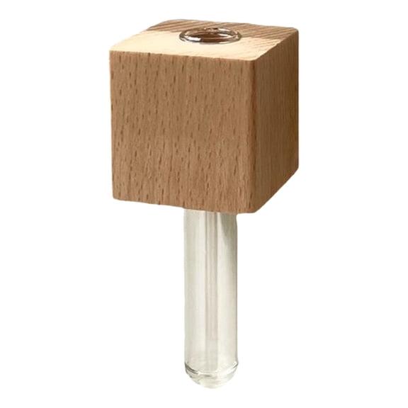 Mini Propagation Station - Glass Test Tube Vases for Windows & Fridges, with Adhesive Wooden Holders for Wall Decor, Office Kitchen Home Display