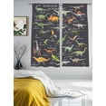 thumbnail image 3 of Dinosaur Family Sheer Curtains 2 Panels Set Retro Watercolor Dinosaur Name Letter Grey Sheer Window Curtains Light Filtering Rod Pocket Voile Drapes for Bedroom Living Room 52"x63", 3 of 8