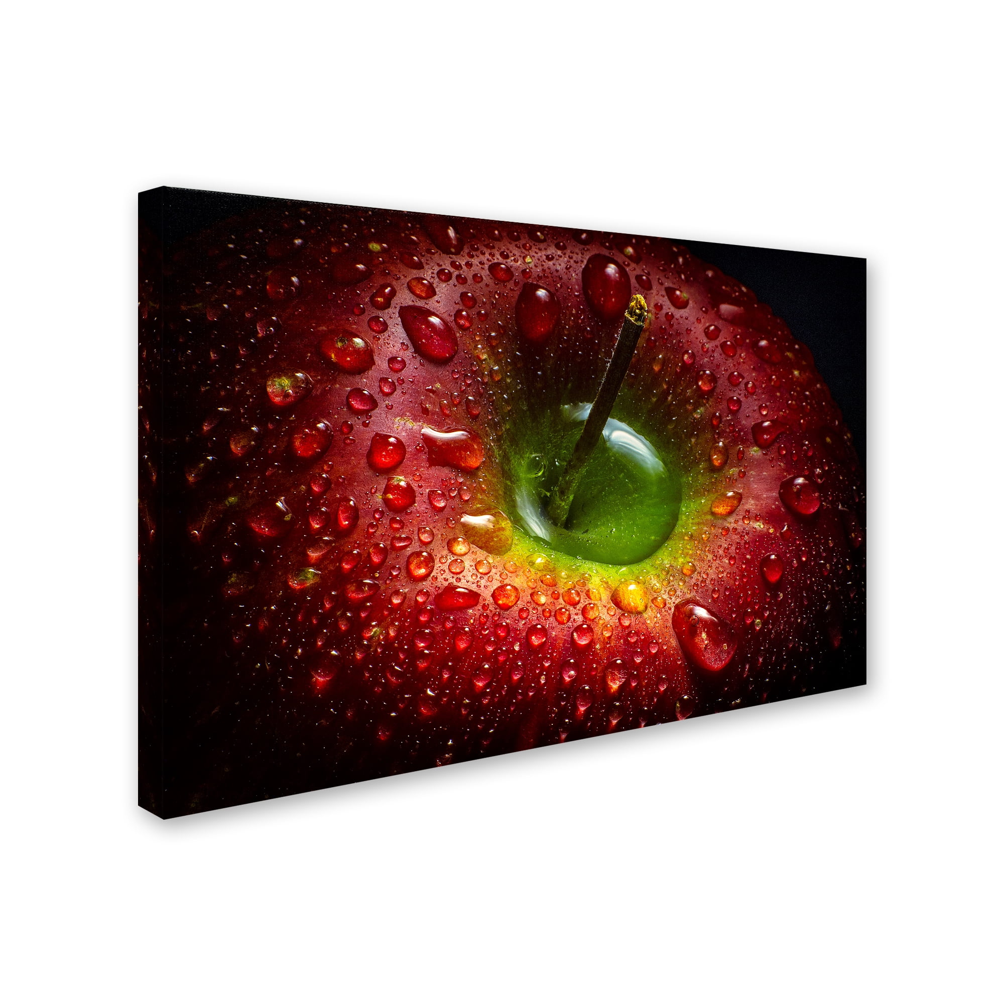 Trademark Fine Art 'Red Apple' Canvas Art by Aida Ianeva