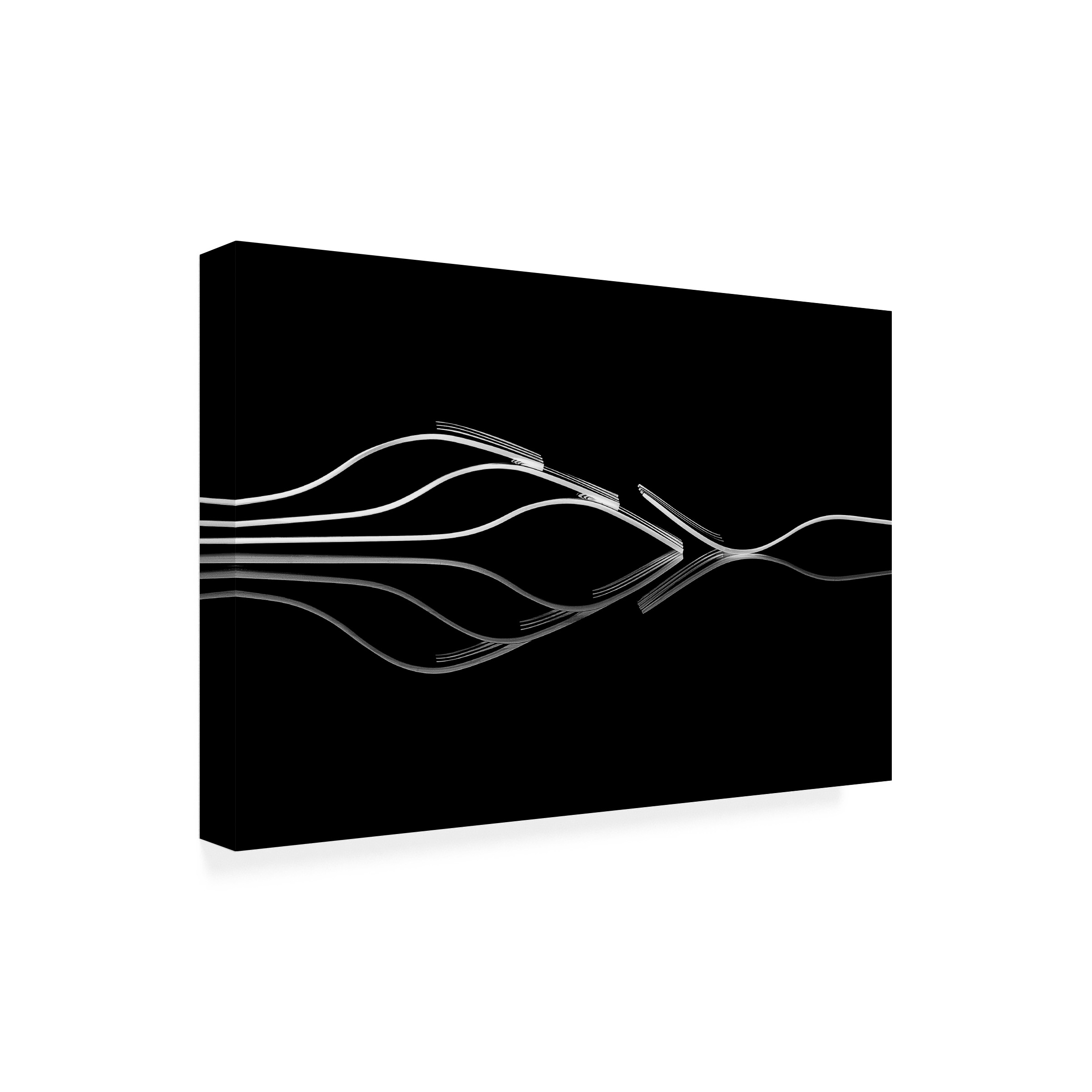 Gert Lavsen 'Outsider' Canvas Art