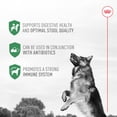 thumbnail image 4 of Suplemento de probióticos Royal Canin para la salud digestiva de los perros, 4 of 7