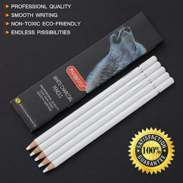 PANDAFLY Professional Drawing Sketching Pencil Set - 12 Pieces Graphite  Pencils(14B - 2H), Ideal for Drawing Art, Sketching, Shading, Artist  Pencils for Beginners & Pro Artists 12 Pack - Black