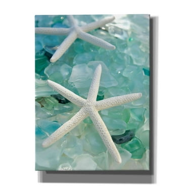 Epic Graffiti 'Seaglass 1' by Alan Blaustein Giclee Canvas Wall Art, 40"x54"