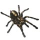 thumbnail image 4 of Scienceny 1 uds/2 uds 3D pegatina de araña divertida cabeza de coche cola personalidad pegatinas de araña decoración DIY decoración Automoción decorativa y accesorios Negro Scienceny CZ10675-01, 4 of 6