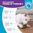 thumbnail image 4 of Juguete para Perros Planet Dog Orbee-Tuff Nooks Verde OS, 4 of 8
