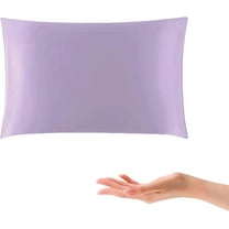 100% 22 Momme Mulberry Silk Small Pillow 10"x 13" Made in USA, Organic Cotton Fill, Travel Size Mini Nap Pillow with Silk Pillow Case, Soft Tiny Little Pillow, Hypoallergenic