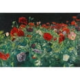 thumbnail image 2 of John Singer Sargent 14x11 Black Ornate Wood Framed Double Matted Museum Art Print Titled: Poppies (1886), 2 of 5