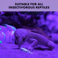 thumbnail image 6 of Zilla Cricket Glow Powder, Adds Calcium to Reptile Food, Fluoresces Under Black Light, Ideal for Insectivores, 4 Ounces, 6 of 11