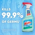 thumbnail image 3 of Windex Disinfectant Cleaner, Multi-Surface Spray, Glade Rainshower Scent, 23 fl oz, 3 of 15
