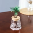 thumbnail image 2 of Pot de Fleurs Hydroponique Absorbant l'Eau Sans Sol Transparent Vert en Pot pour Intérieur, 2 of 8